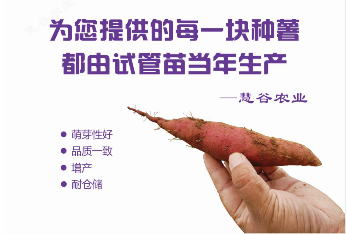 ��ҳ- �Ϲ�NG28�������ֹٷ���վ