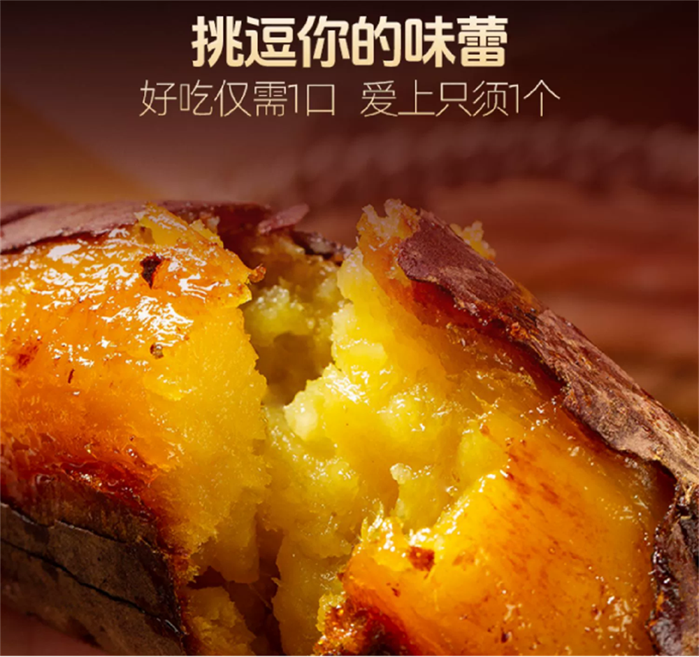��ҳ- �Ϲ�NG28�������ֹٷ���վ