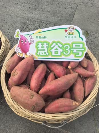 ��ҳ- �Ϲ�NG28�������ֹٷ���վ