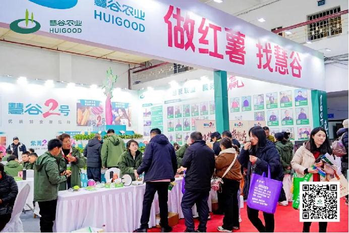 ��ҳ- �Ϲ�NG28�������ֹٷ���վ