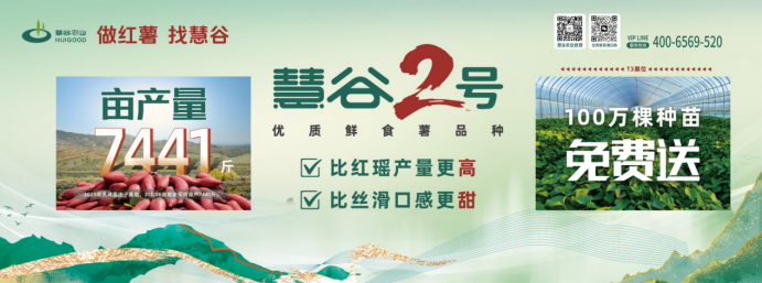 ��ҳ- �Ϲ�NG28�������ֹٷ���վ