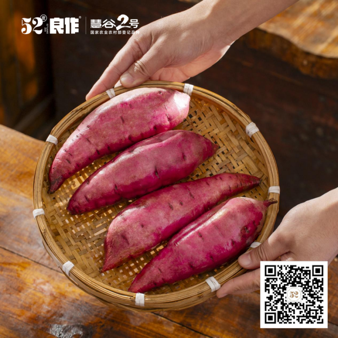 ��ҳ- �Ϲ�NG28�������ֹٷ���վ