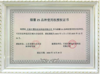 ��ҳ- �Ϲ�NG28�������ֹٷ���վ