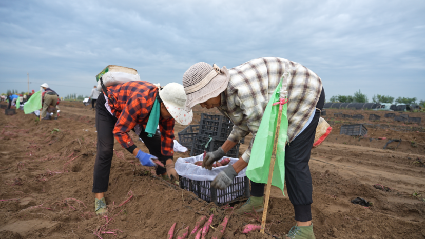 ��ҳ- �Ϲ�NG28�������ֹٷ���վ