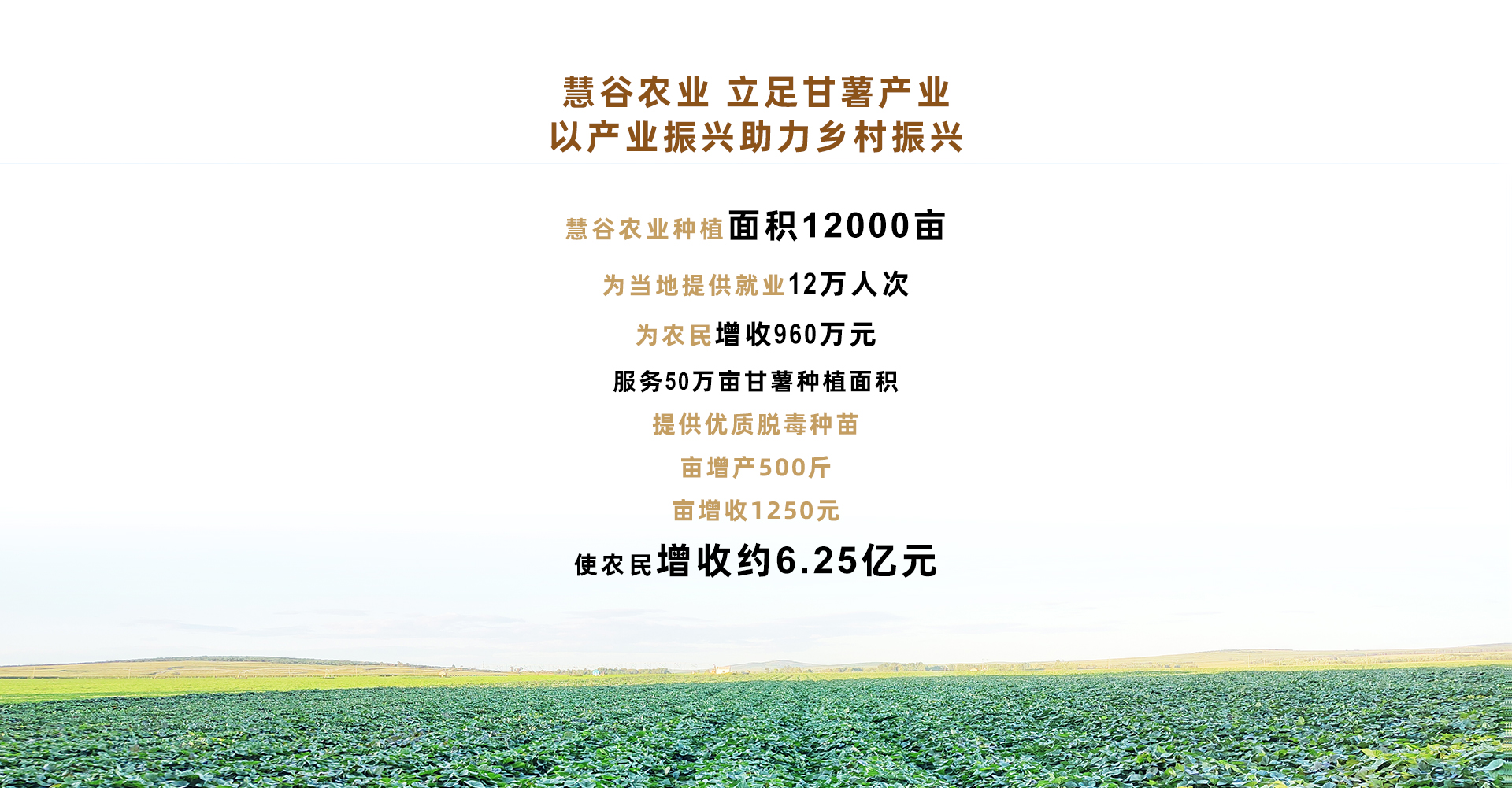 ��ҳ- �Ϲ�NG28�������ֹٷ���վ